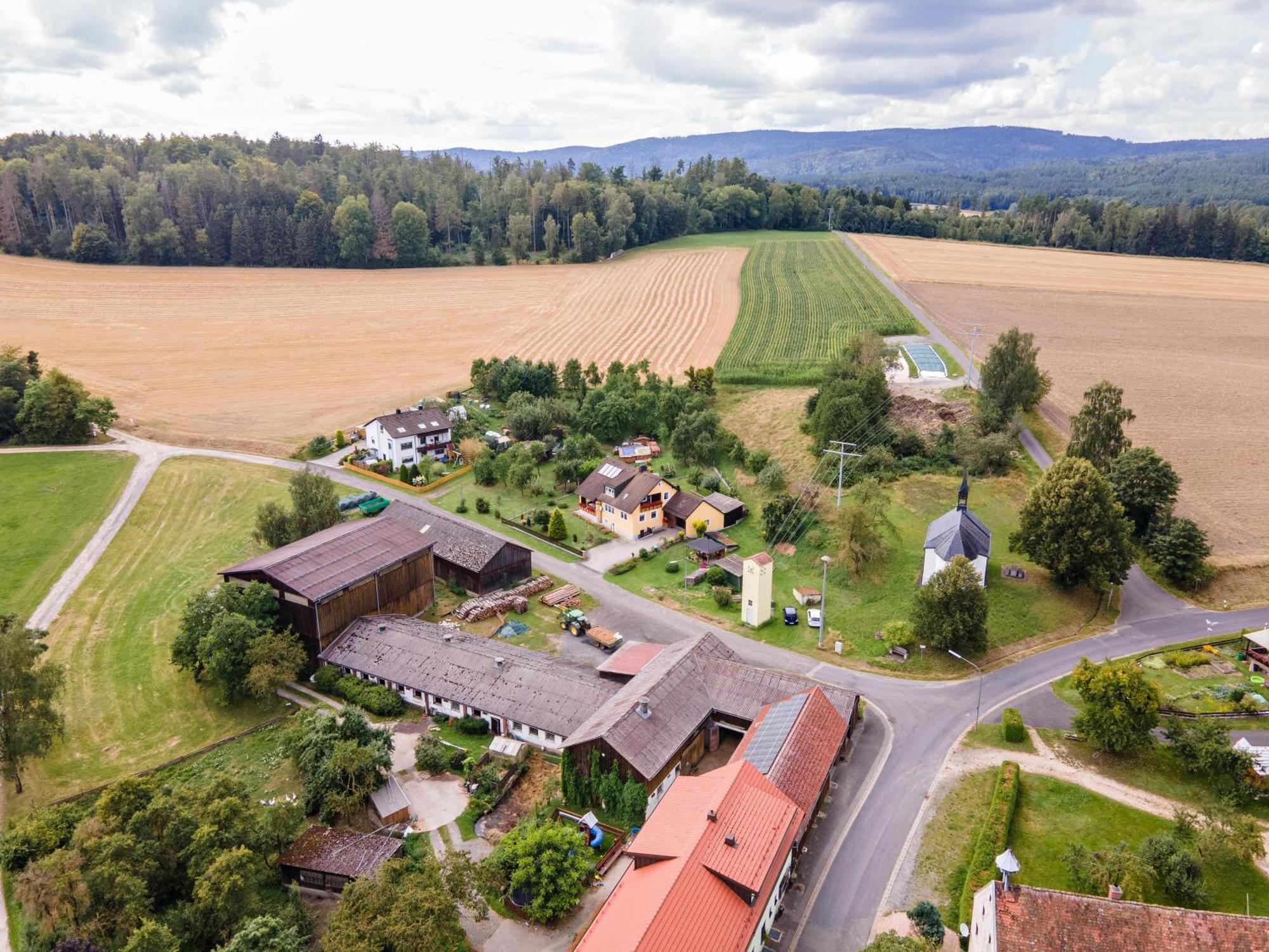 Ferienwohnung Baecher Wiesau Exterior foto
